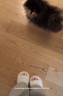 Adel Veigel feet photo 5