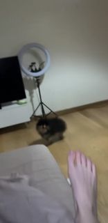 Adel Veigel feet photo 6