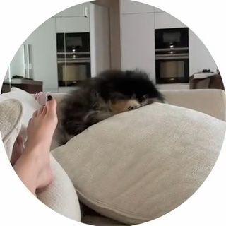 Adel Veigel feet photo 1
