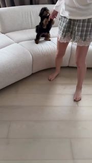 Adel Veigel feet photo 5