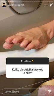 Adela Banásová feet photo 10
