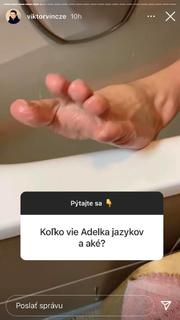 Adela Banásová feet photo 8