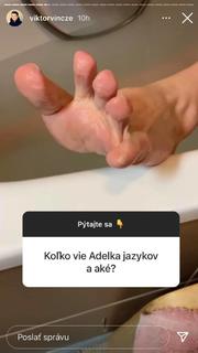 Adela Banásová feet photo 7