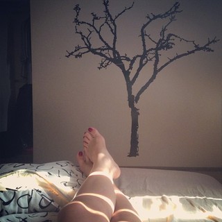 Adela Popescu feet photo 13