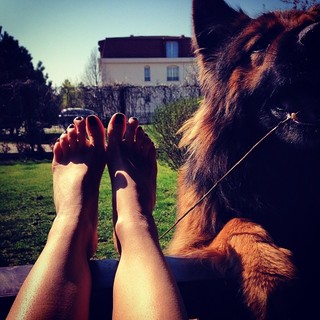 Adela Popescu feet photo 10