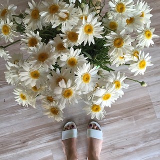 Adela Popescu feet photo 14