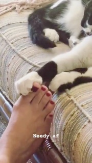Adelaide Kane feet photo thumbnail