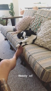 Adelaide Kane feet photo thumbnail