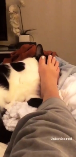 Adelaide Kane feet photo thumbnail