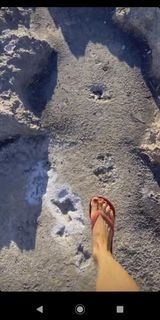Adeline Blondieau feet photo 18