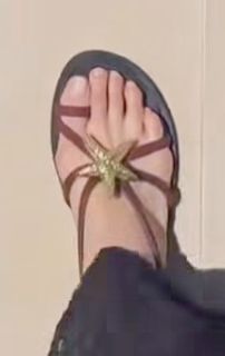 Adi Himelbloy feet photo 7