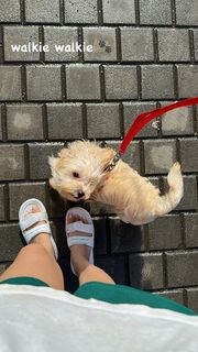 Aditi Bhatia feet photo 1