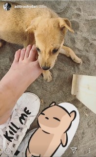 Aditi Rao Hydari feet photo thumbnail