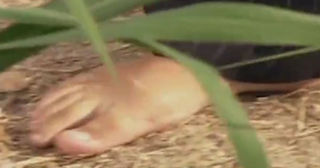 Adriana Esteves feet photo thumbnail