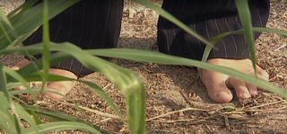 Adriana Esteves feet photo thumbnail