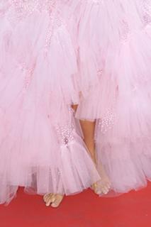 Adriana Karembeu feet photo thumbnail