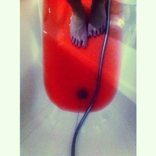 Adriana Torrebejano feet photo 12
