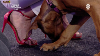 Adriana Volpe feet photo thumbnail