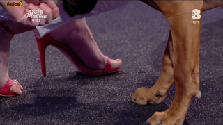 Adriana Volpe feet photo thumbnail