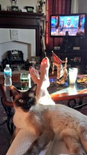 Adrianne Curry feet photo thumbnail