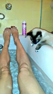 Adrianne Curry feet photo thumbnail