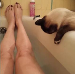 Adrianne Curry feet photo thumbnail