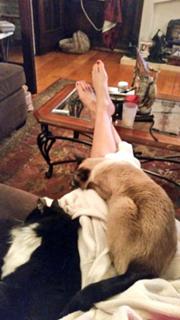 Adrianne Curry feet photo thumbnail