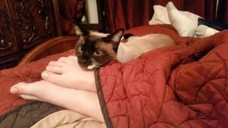 Adrianne Curry feet photo thumbnail