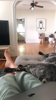 Adriene Mishler feet photo thumbnail