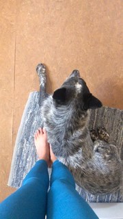 Adriene Mishler feet photo thumbnail