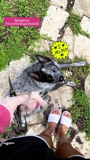 Adriene Mishler feet photo thumbnail