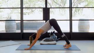 Adriene Mishler feet photo thumbnail