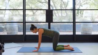 Adriene Mishler feet photo thumbnail