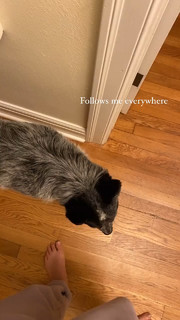 Adriene Mishler feet photo thumbnail