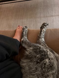 Adriene Mishler feet photo 4