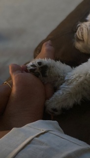 Adrienne Houghton feet photo thumbnail