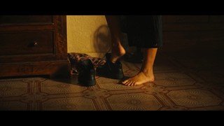 Adèle Exarchopoulos feet photo thumbnail