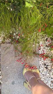 Afra Saraçoglu feet photo thumbnail