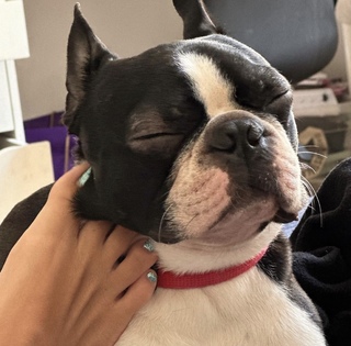 Agata Fak feet photo thumbnail