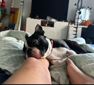 Agata Fak feet photo thumbnail