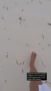 Agata Fak feet photo thumbnail