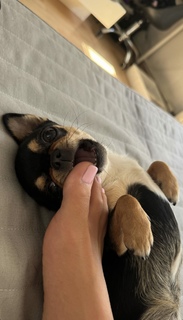 Agata Fak feet photo thumbnail