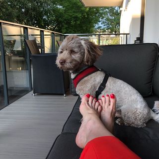 Agata Mlynarska feet photo thumbnail