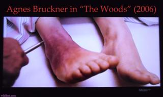 Agnes Bruckner feet photo 7