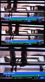 Agnes Bruckner feet photo 6