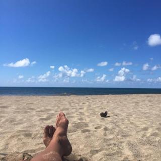 Agnes Bruckner feet photo 11