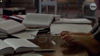 Agnieszka Dygant feet photo 17