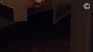Agnieszka Dygant feet photo 10