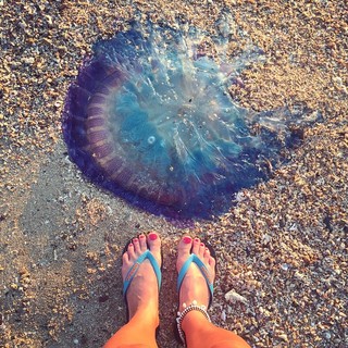 Agnieszka Kawiorska feet photo 3