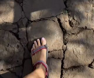 Agnieszka Kolodziejska feet photo 18